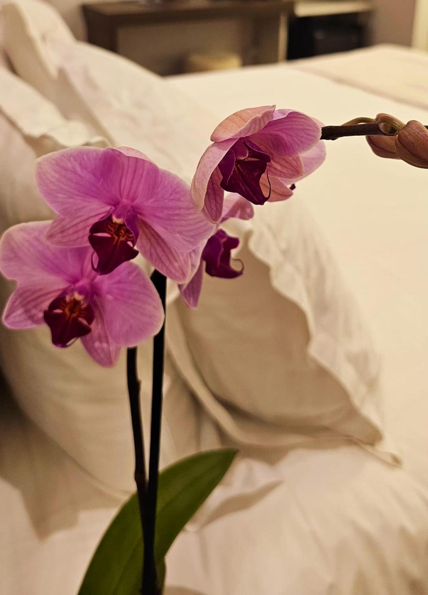Stoa Rome Boutique Suites ภายนอก รูปภาพ